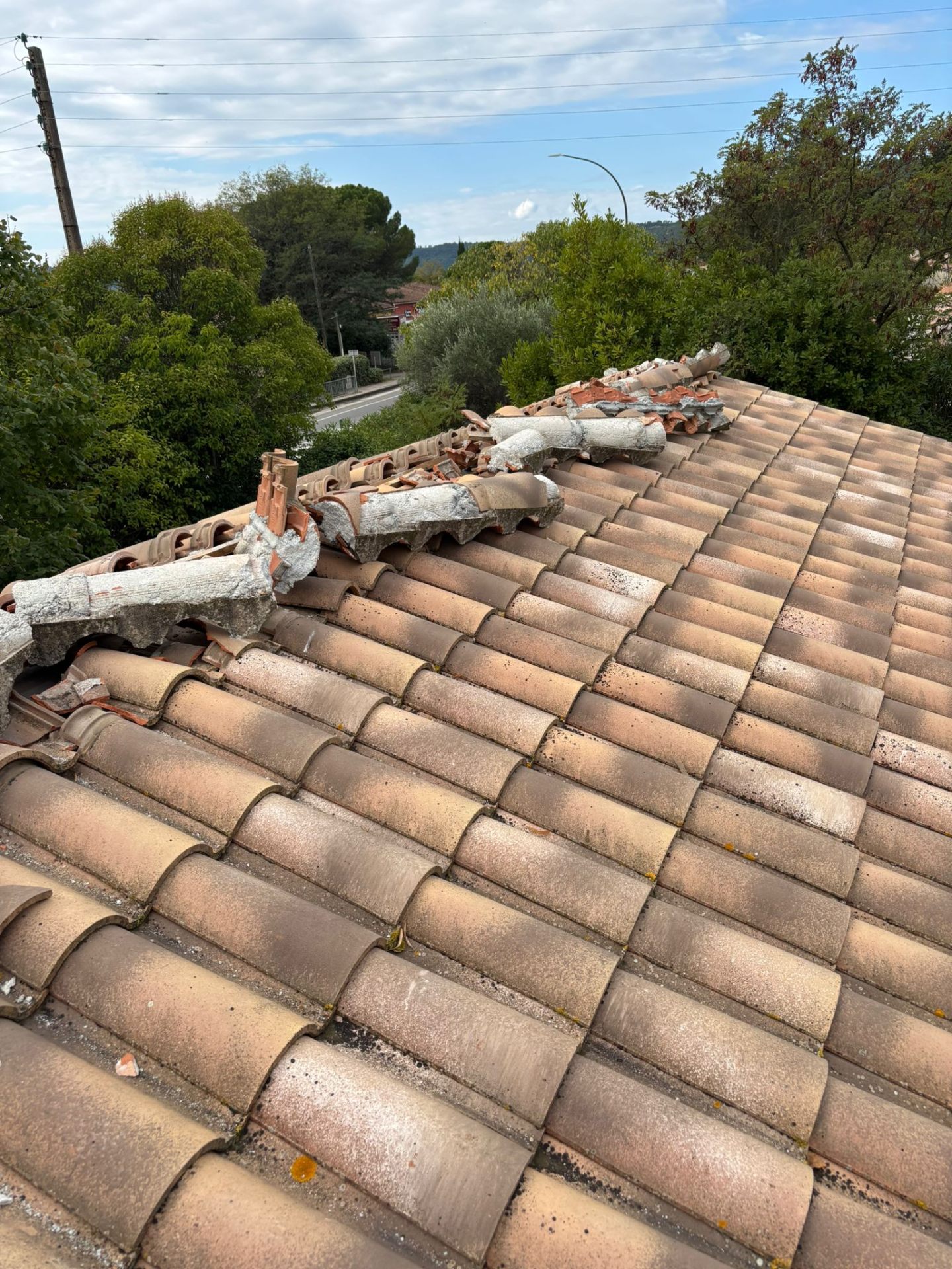 Démoussage et nettoyage de toiture vue panoramique